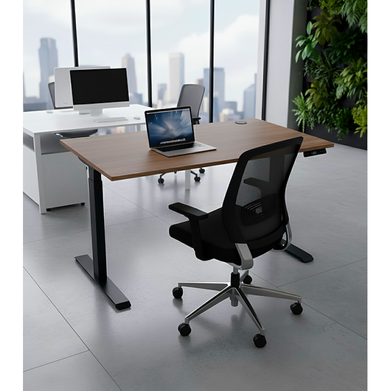 Masa de scris cu reglare electrică, cu două motoare în 3 trepte