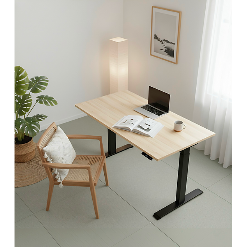 Masa de scris cu reglare electrică, cu două motoare în 2 trepte