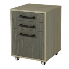 Тумба мобильная с дверкой и 2-мя ящиками